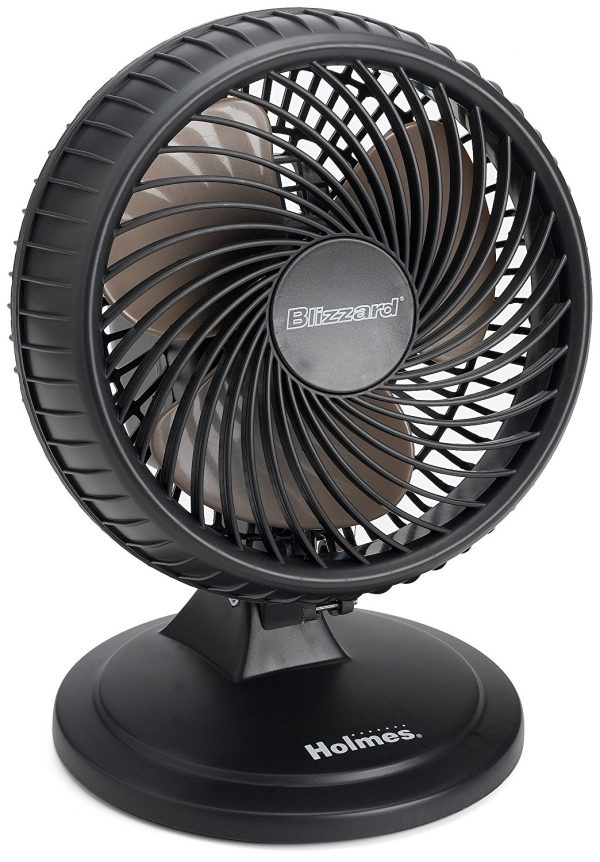 Fan