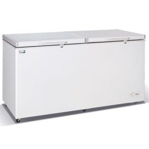 Hisense 702L Chest Freezer (White) FC702SH