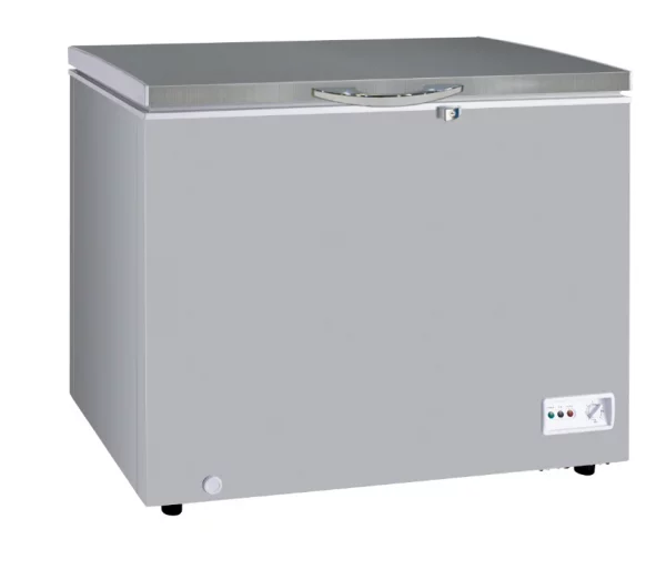 Deep Freezer SAY-2545 - Image 2