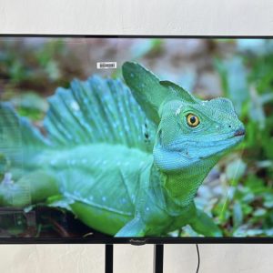 multismart 43 inch smart