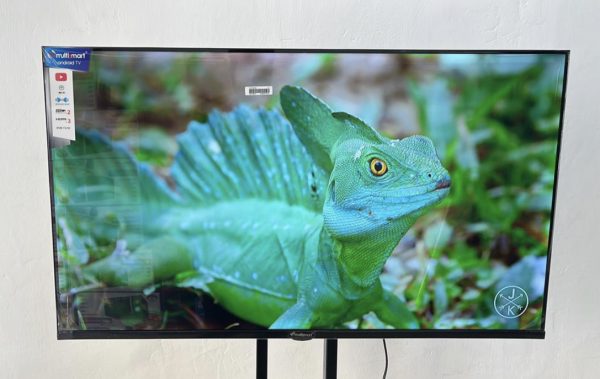 multismart 43 inch smart